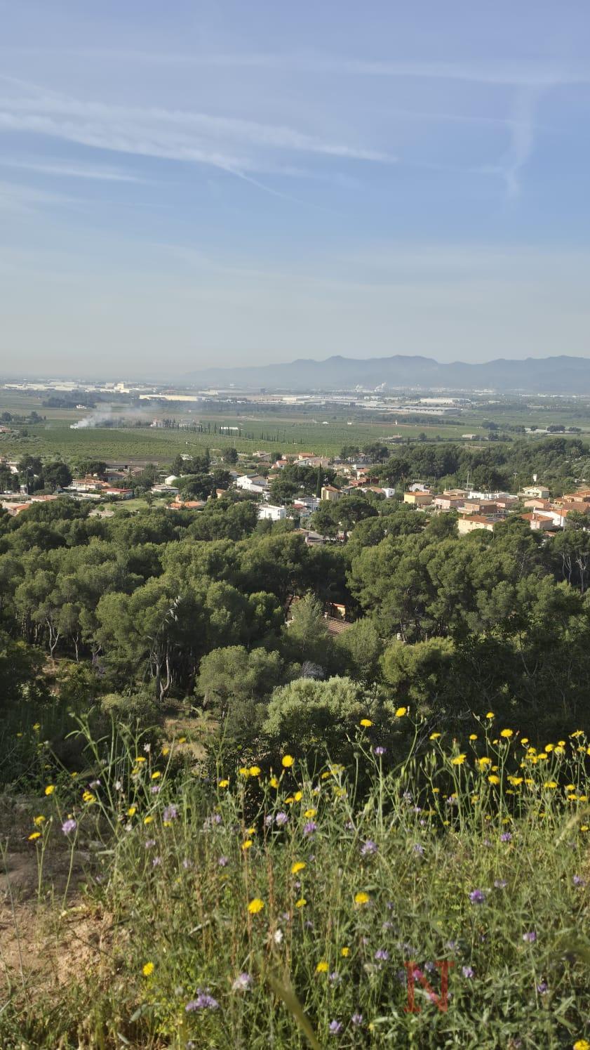 Venta de terreno en Borriol