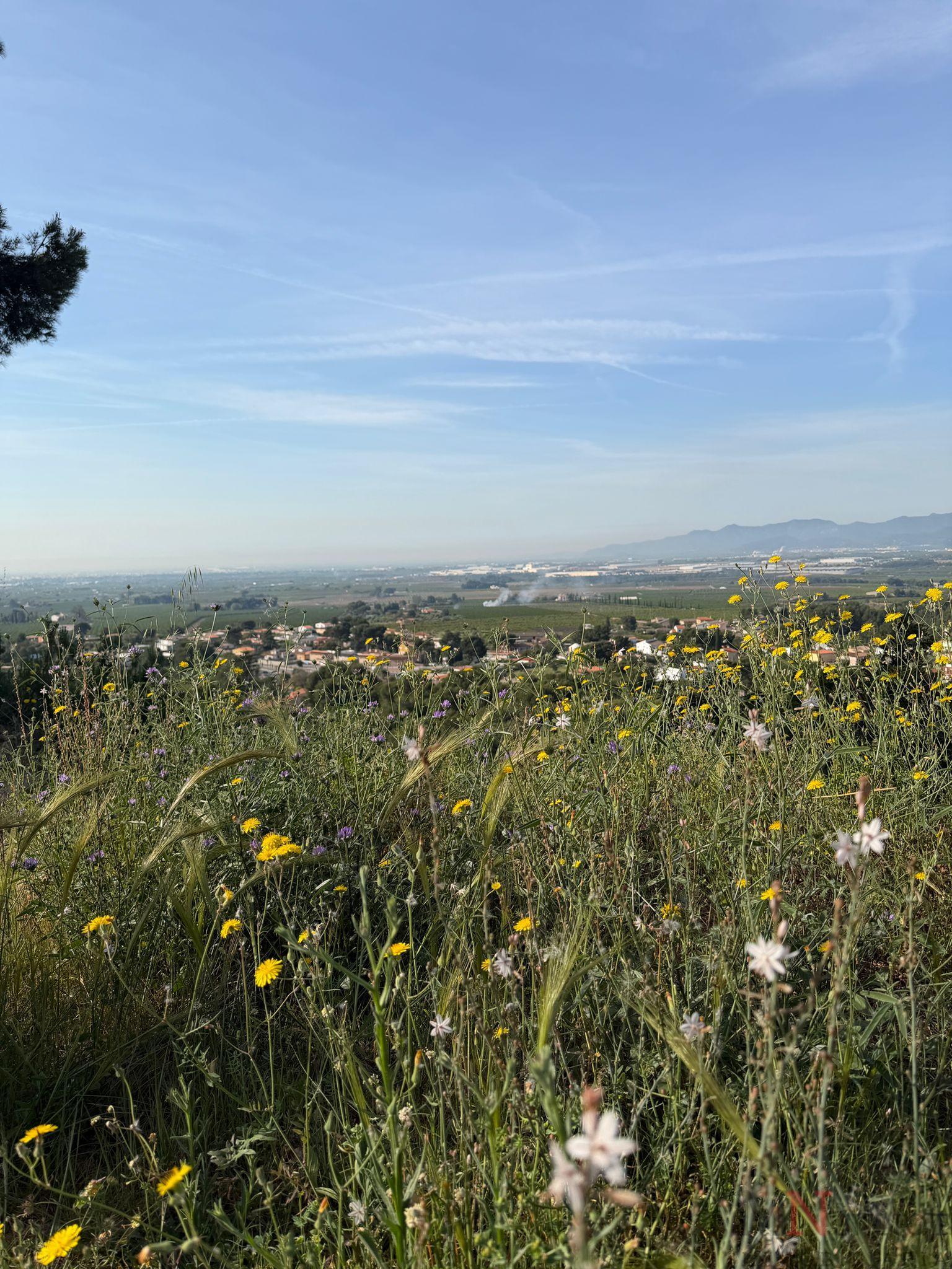 Venta de terreno en Borriol