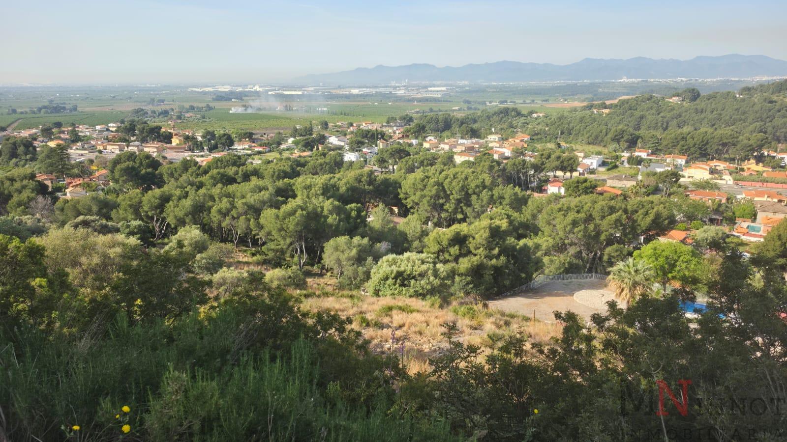 Venta de terreno en Borriol