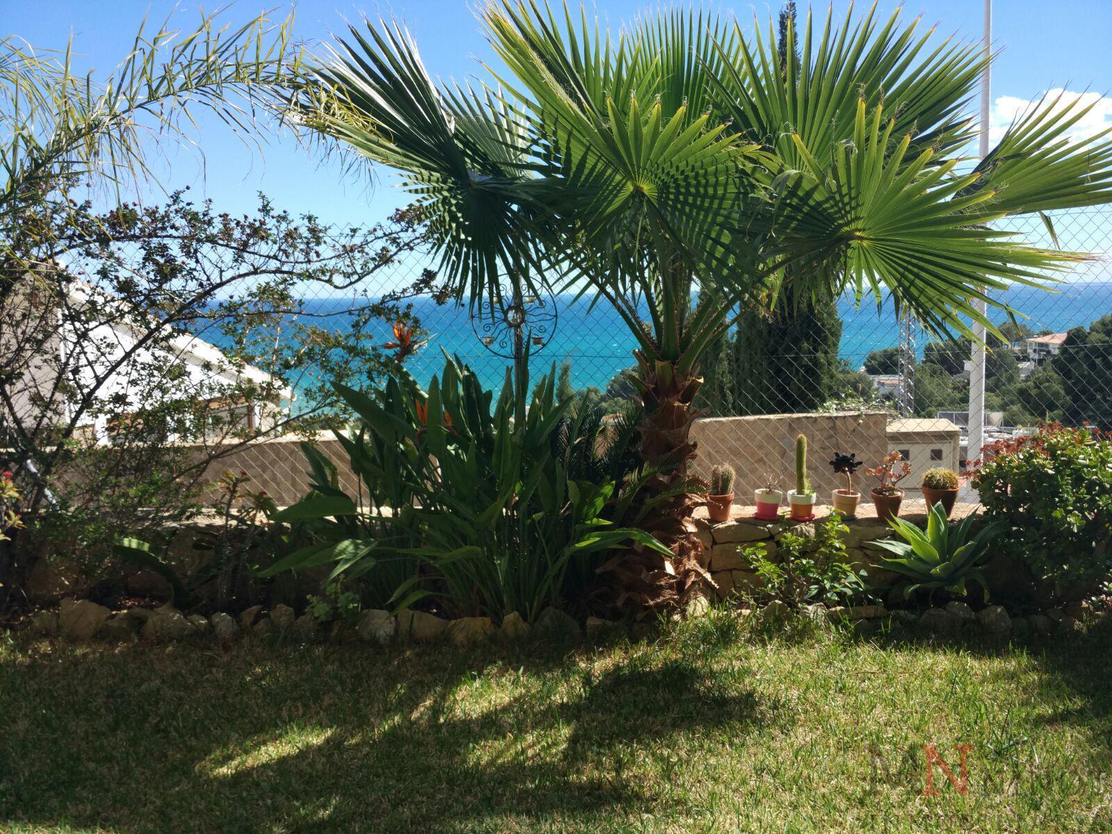 Alquiler de apartamento en Oropesa del Mar
