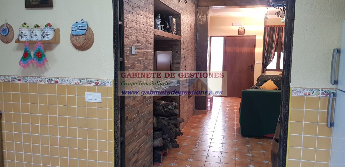 For rent of house in Lezuza