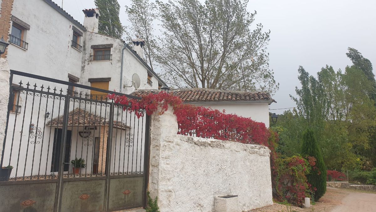 For rent of house in Alcaraz