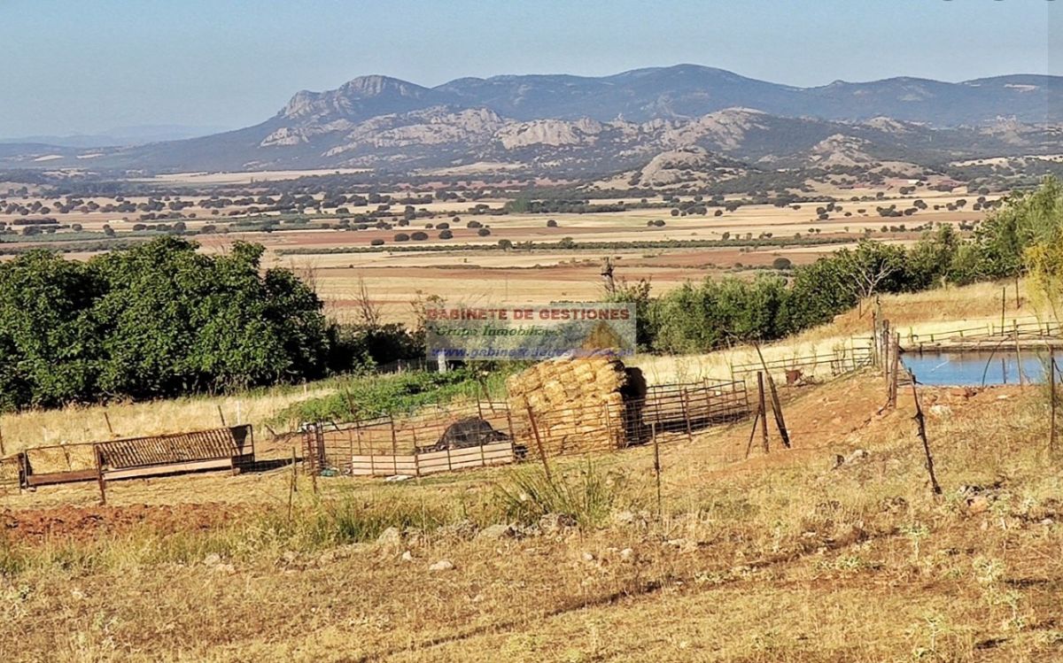 Alquiler de casa en Alcaraz