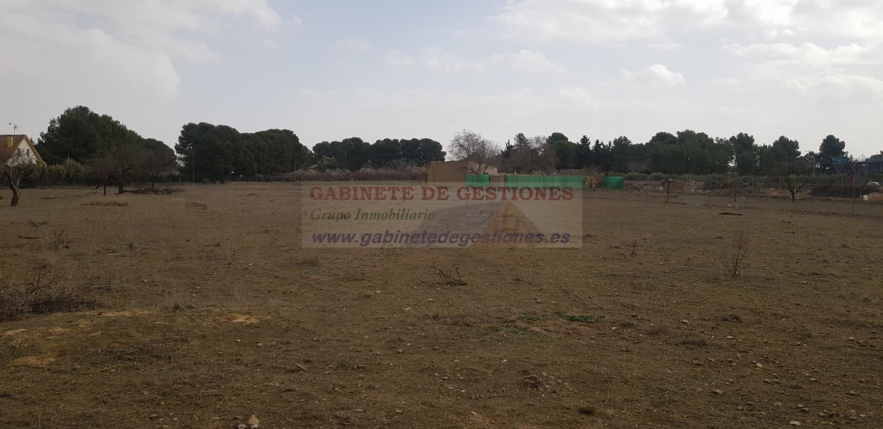 For sale of land in Albacete
