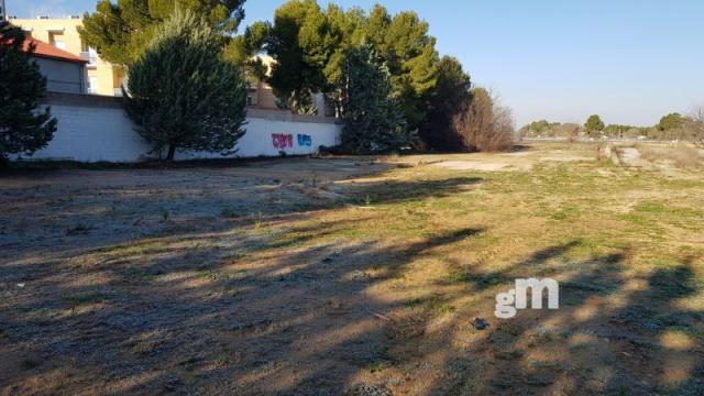 Venta de finca rústica en Albacete