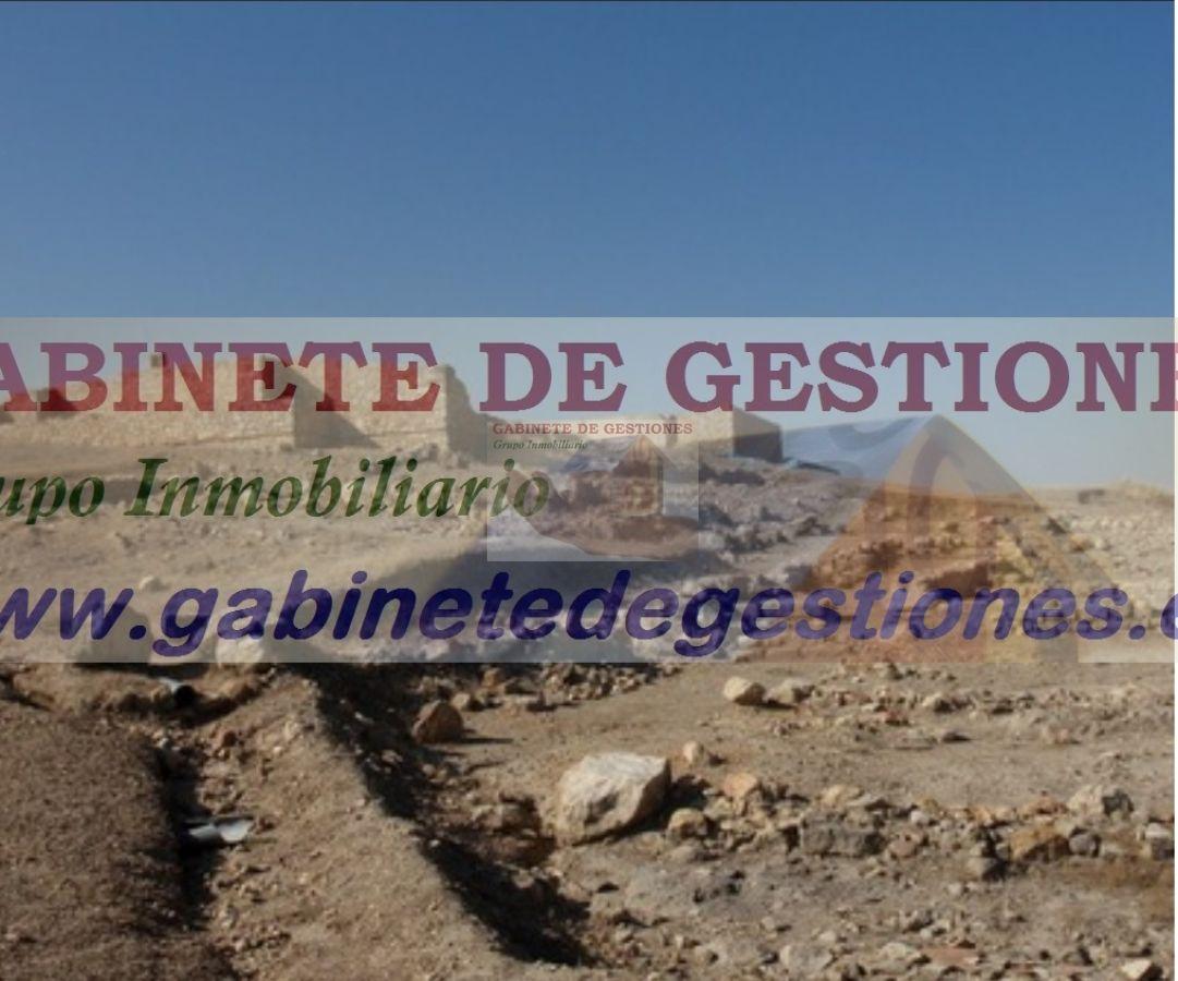 For rent of house in Lezuza