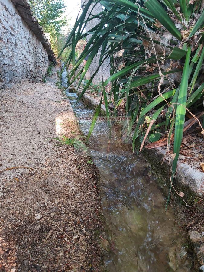 For rent of house in Alcaraz