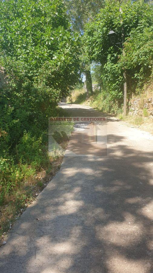 For rent of house in Alcaraz