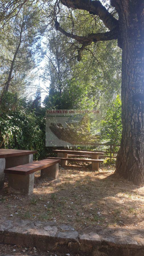 For rent of house in Alcaraz