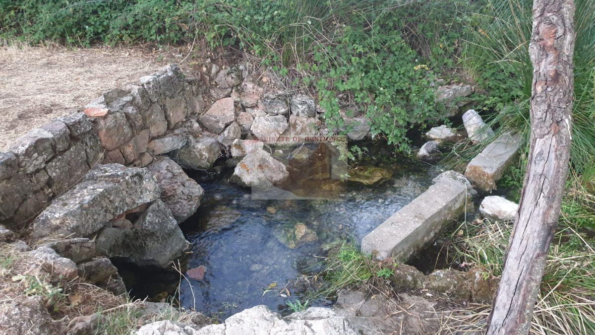 Alquiler de casa en Alcaraz Alquiler de casa en Alcaraz