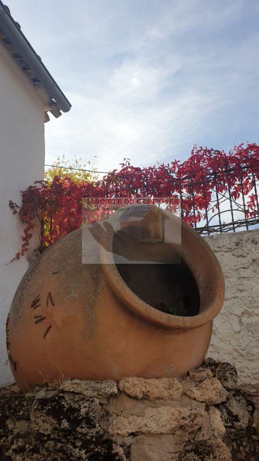 For rent of house in Alcaraz