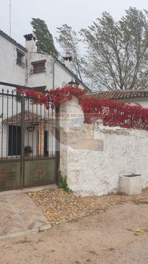 For rent of house in Alcaraz