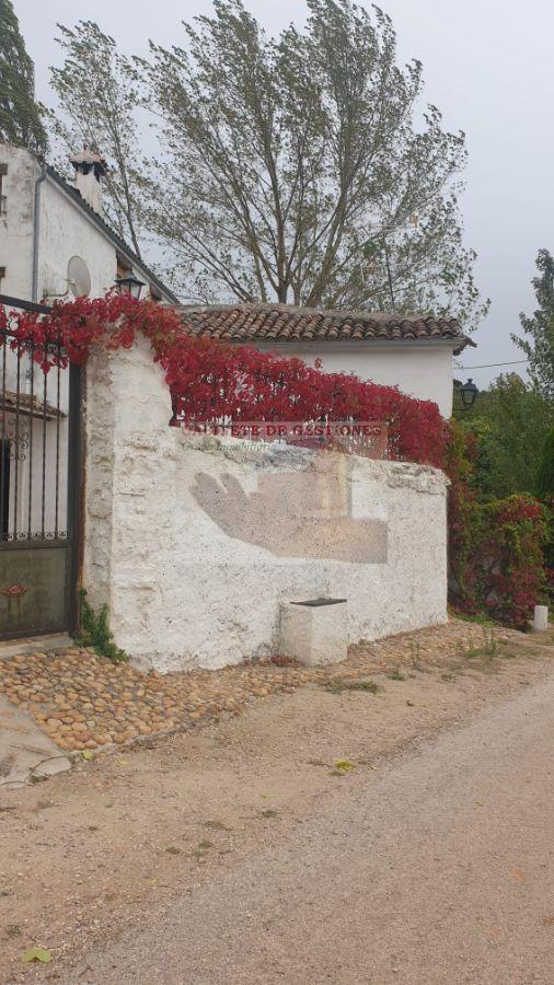 For rent of house in Alcaraz