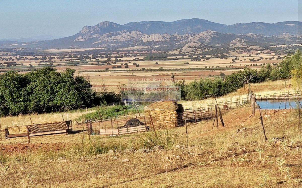 Alquiler de casa en Alcaraz