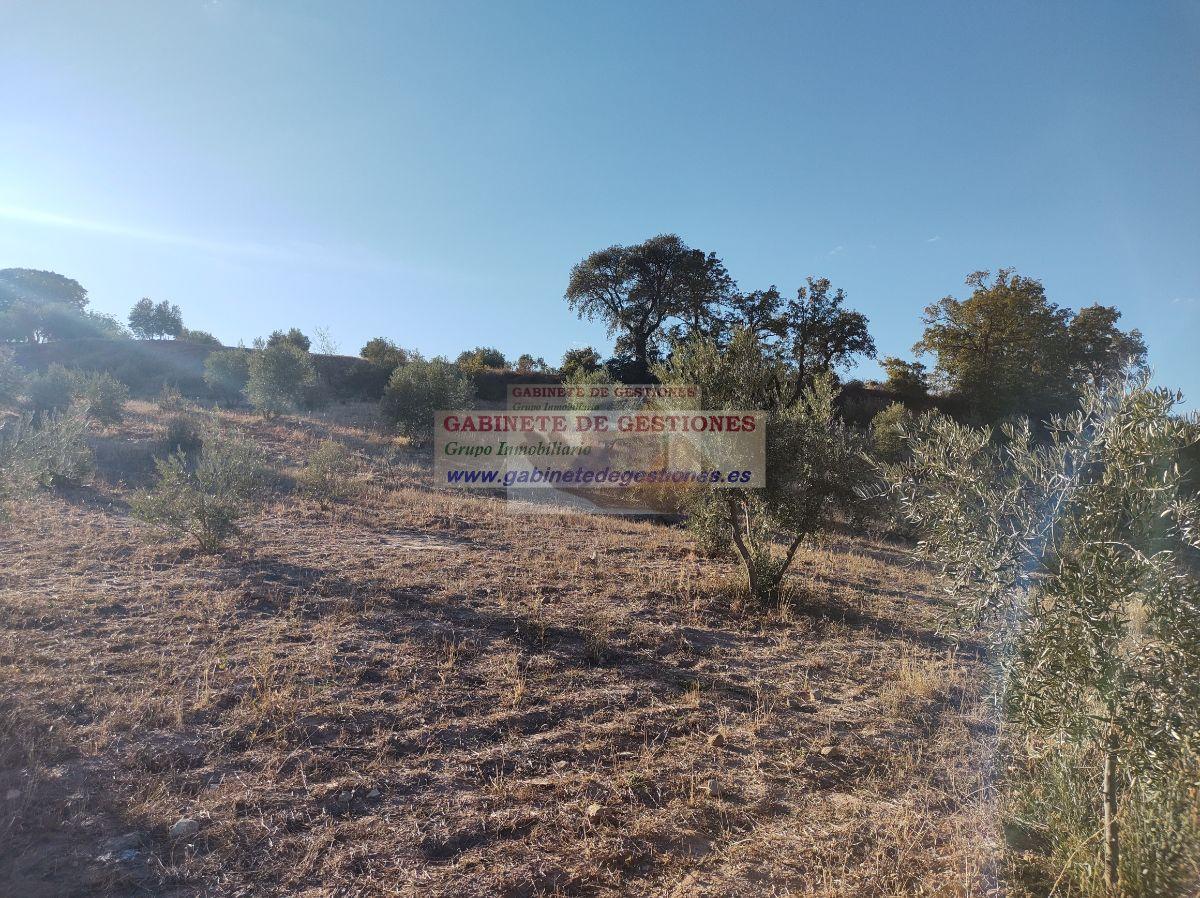 For sale of house in Povedilla