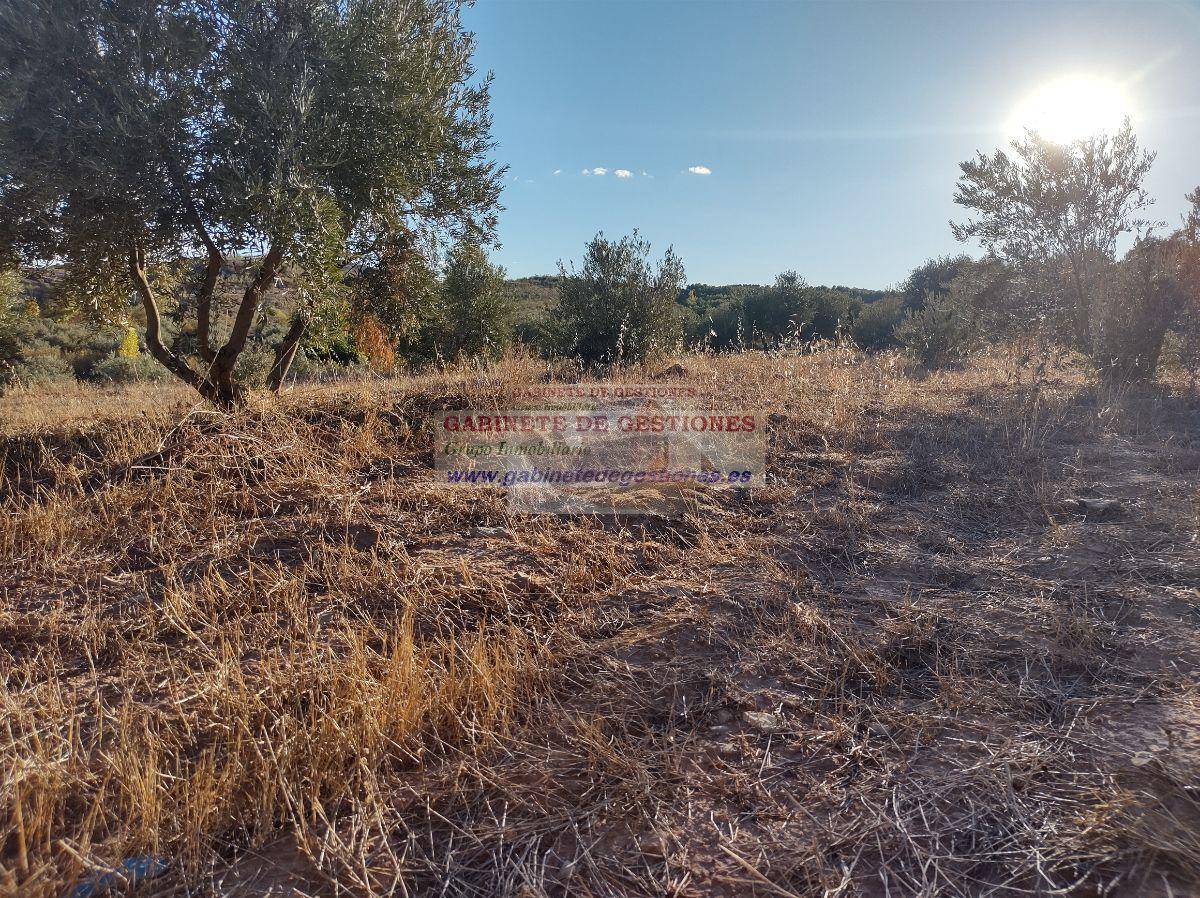 For sale of house in Povedilla