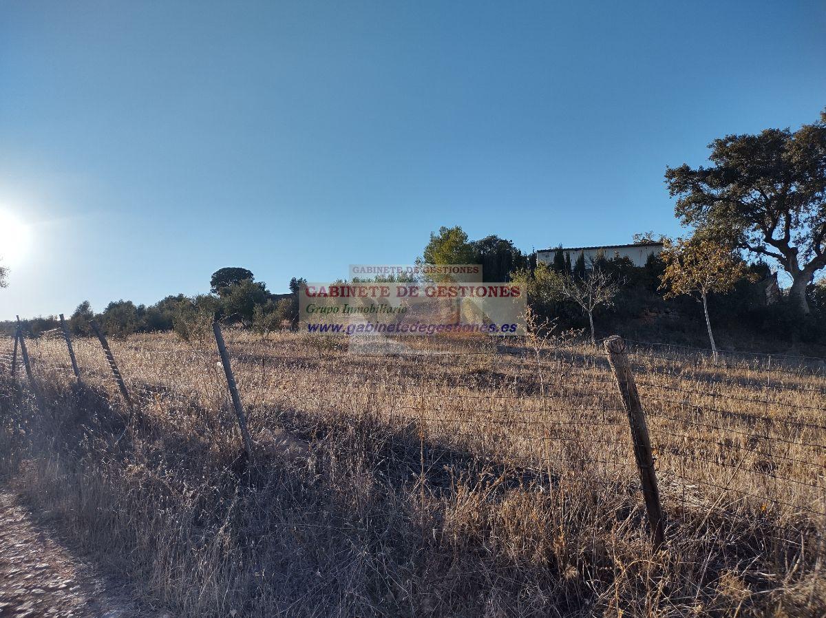 For sale of house in Povedilla