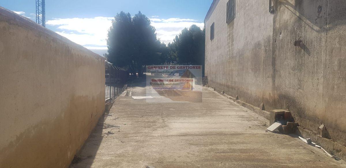 For sale of industrial plant/warehouse in Albacete