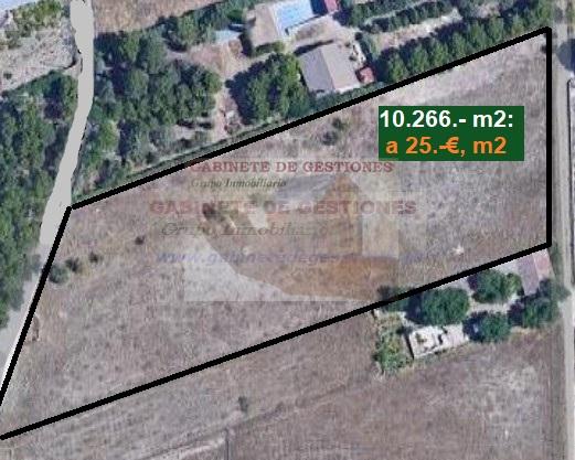 For sale of land in Albacete