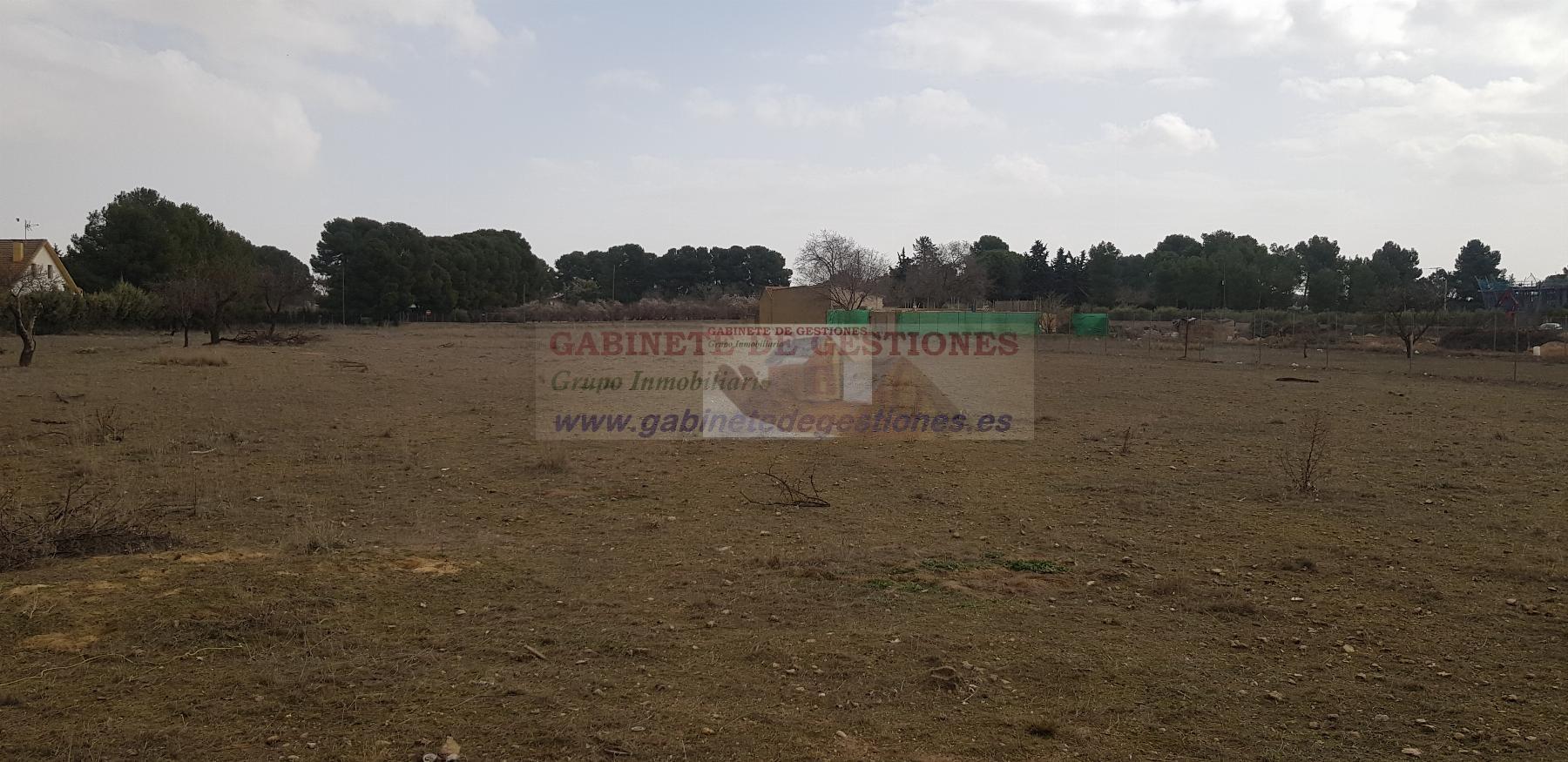 For sale of land in Albacete