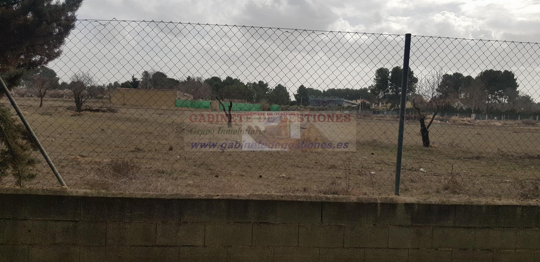 For sale of land in Albacete