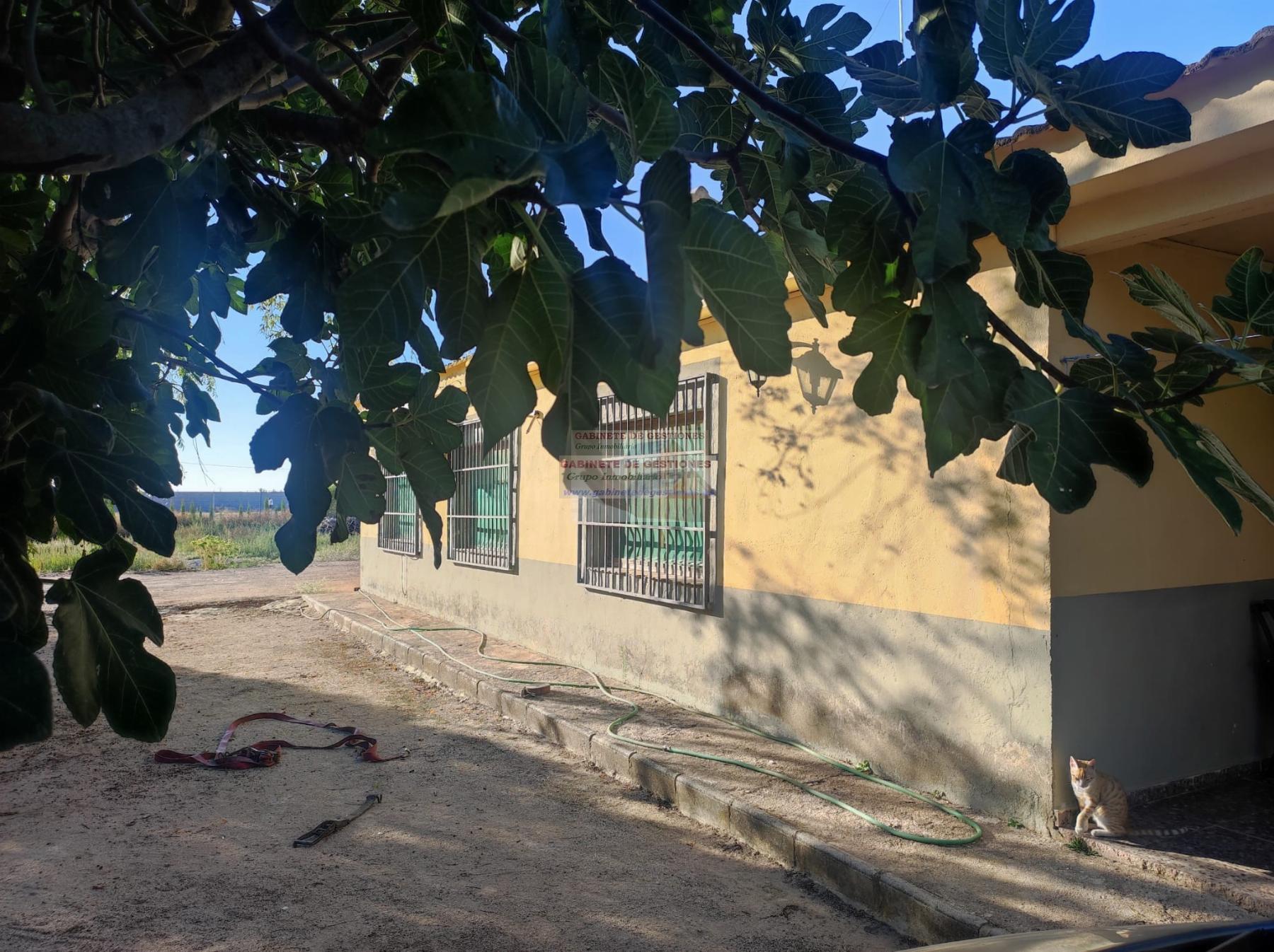 For sale of rural property in Albacete
