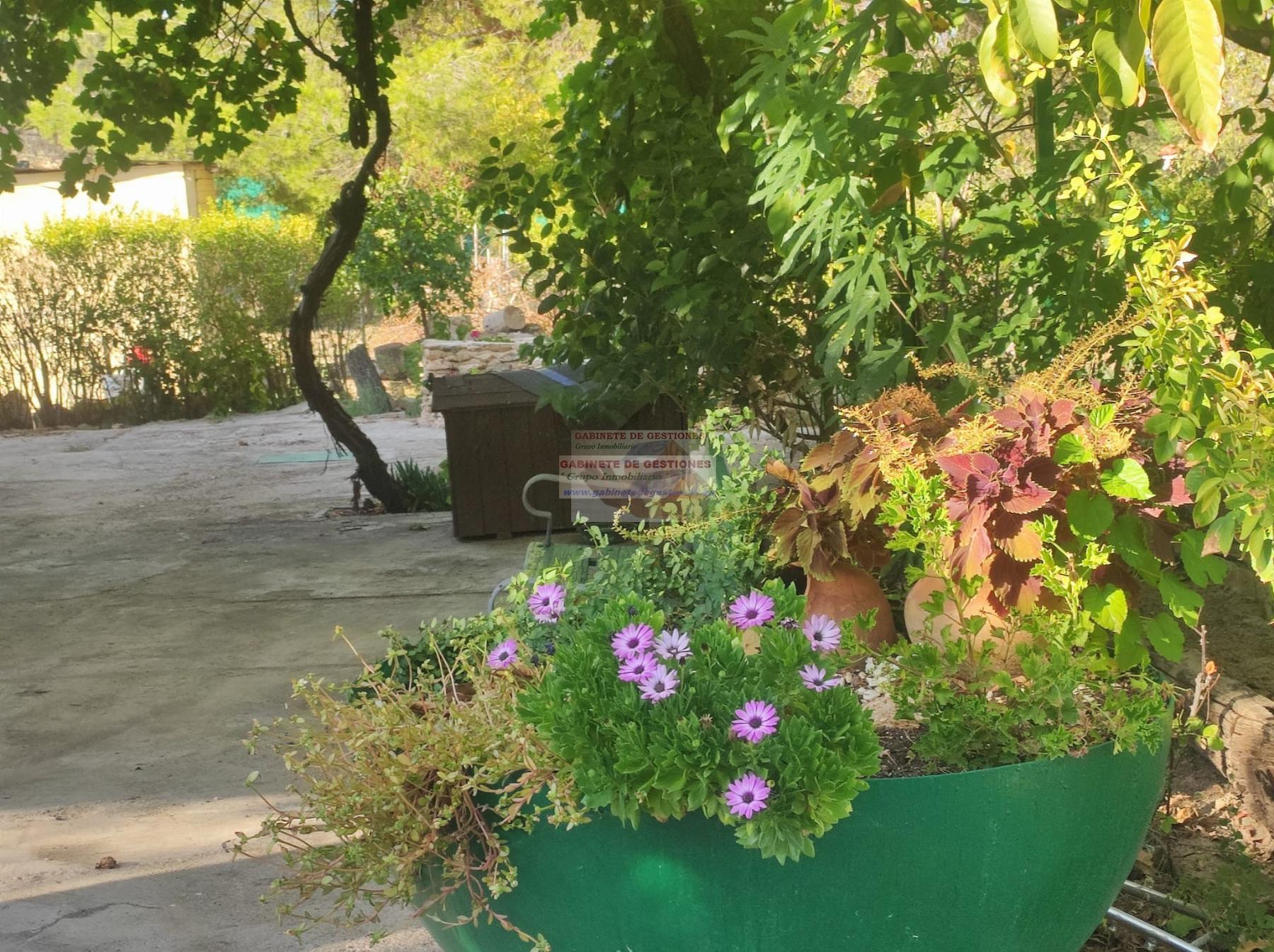For sale of rural property in Albacete