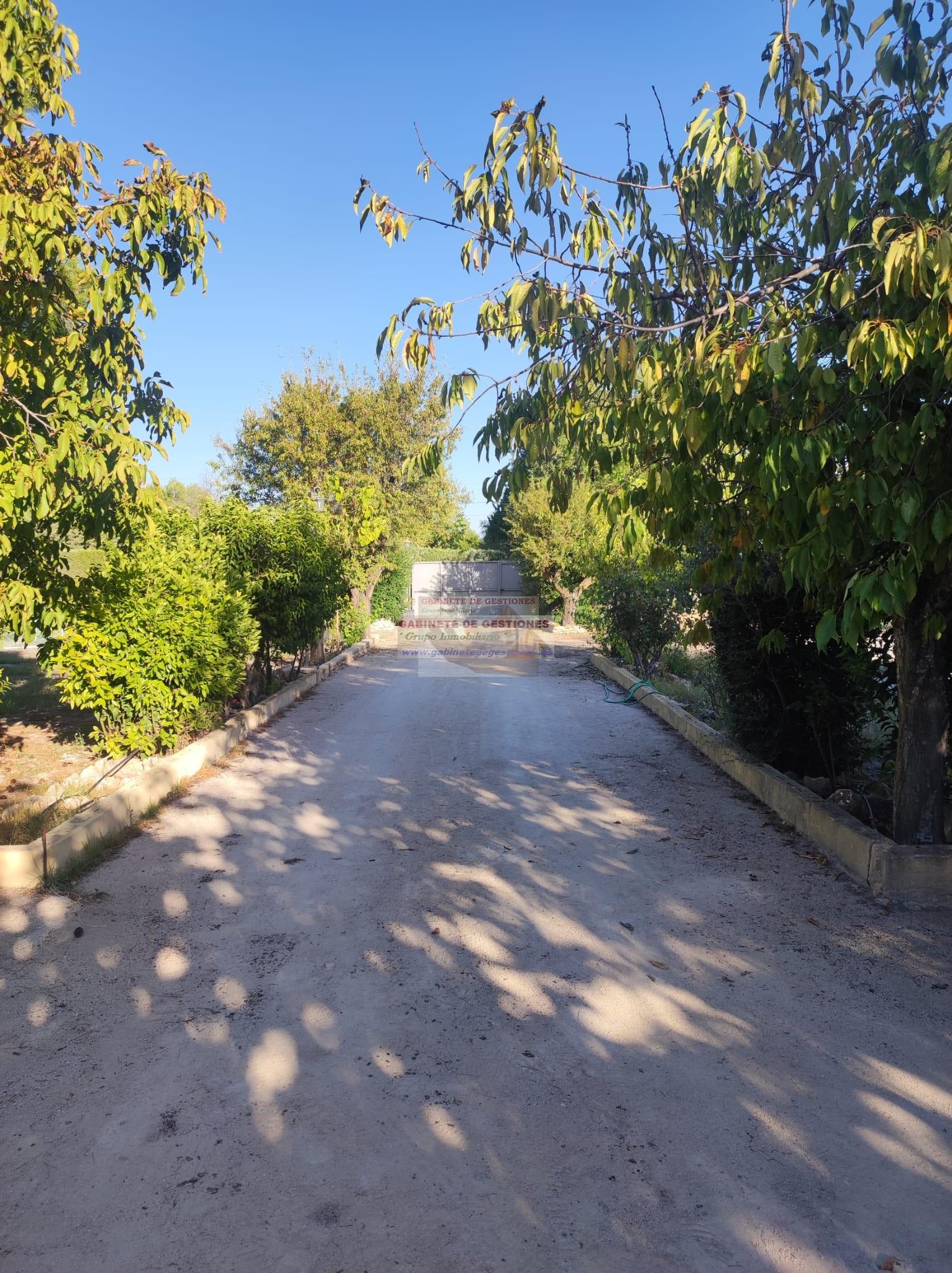 For sale of rural property in Albacete