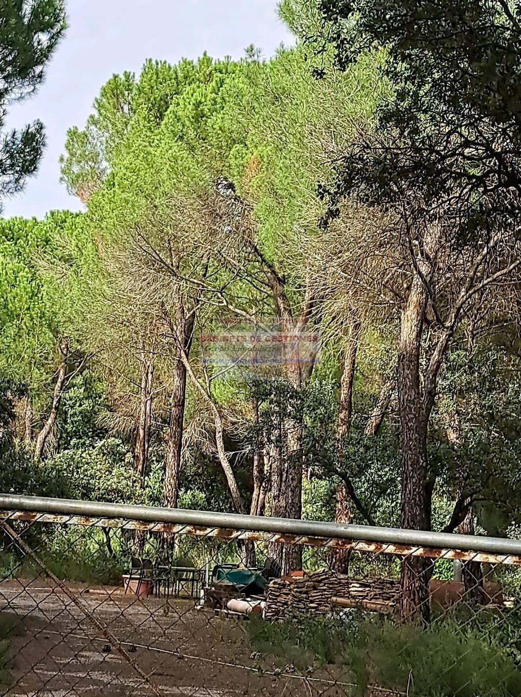 For sale of land in Albacete