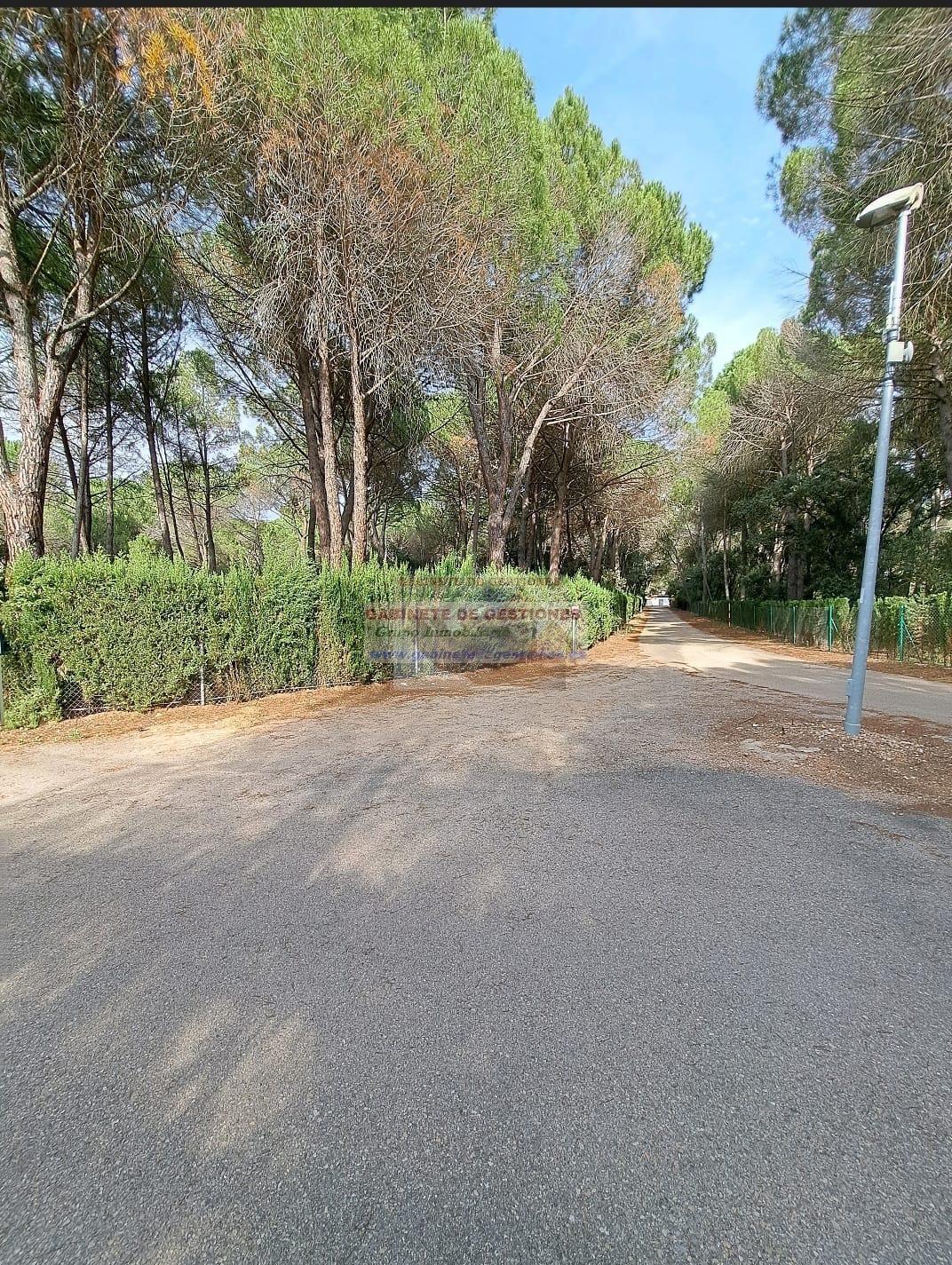 For sale of land in Albacete