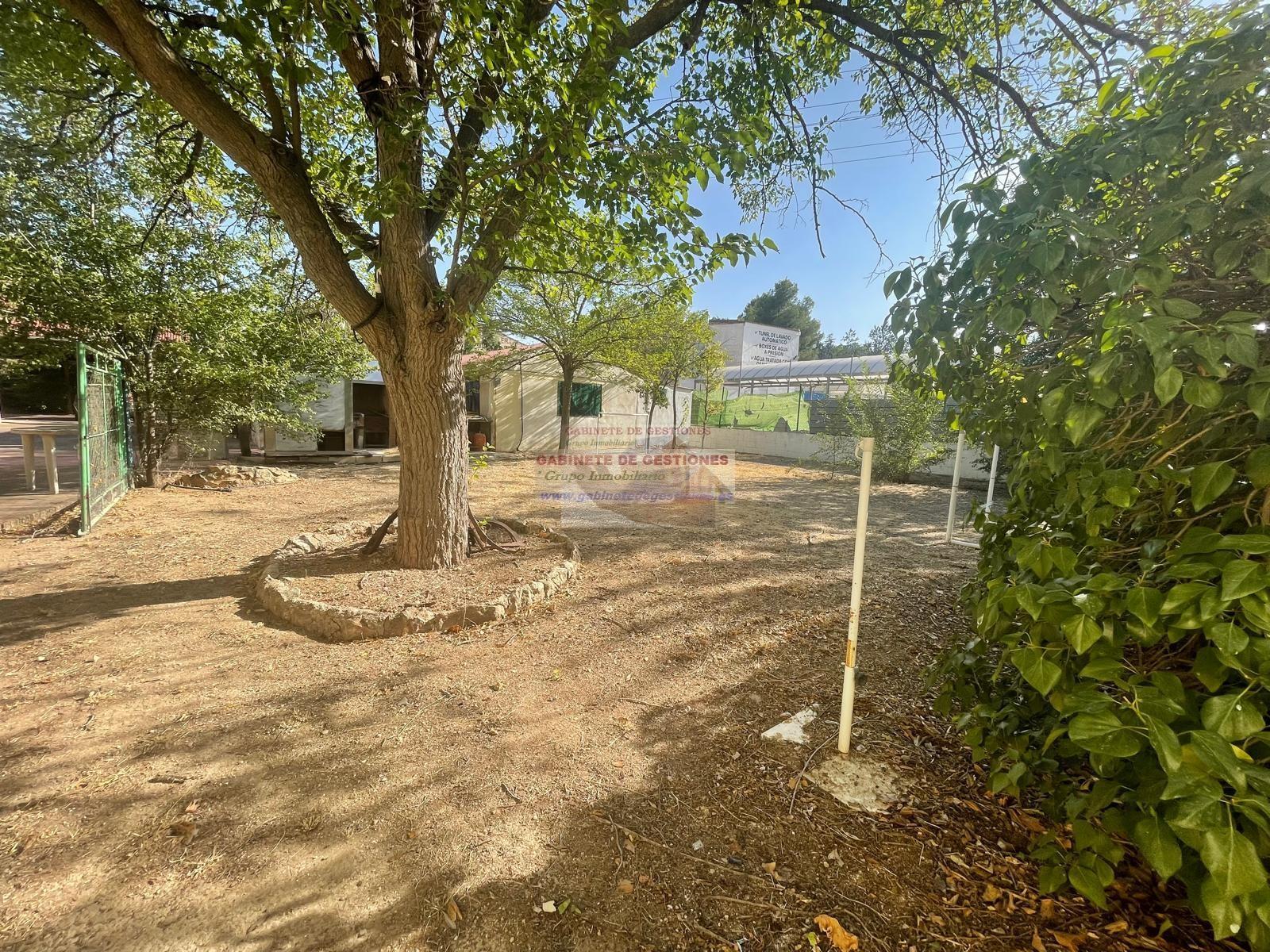 For sale of rural property in Albacete