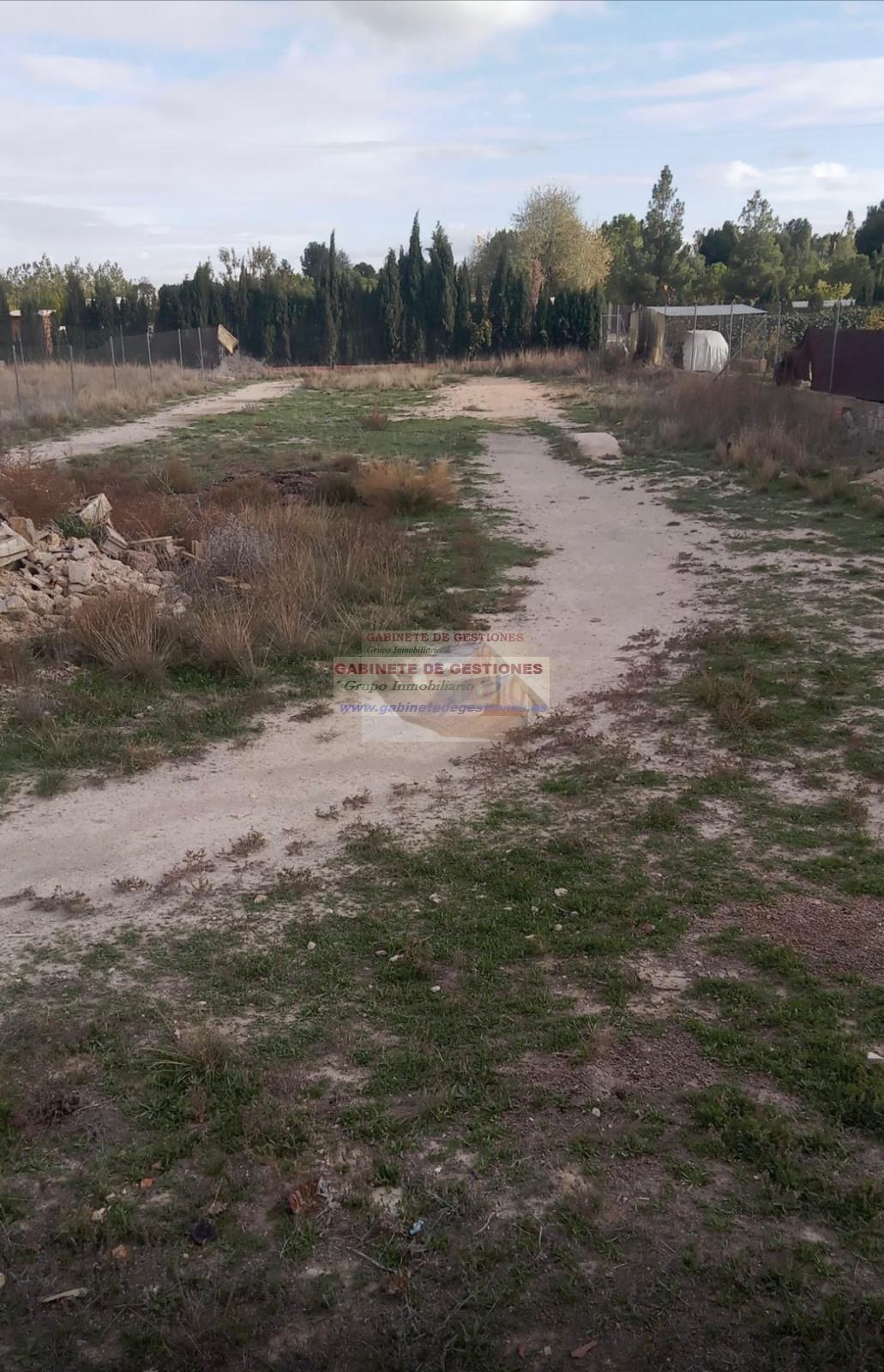 For sale of land in Albacete