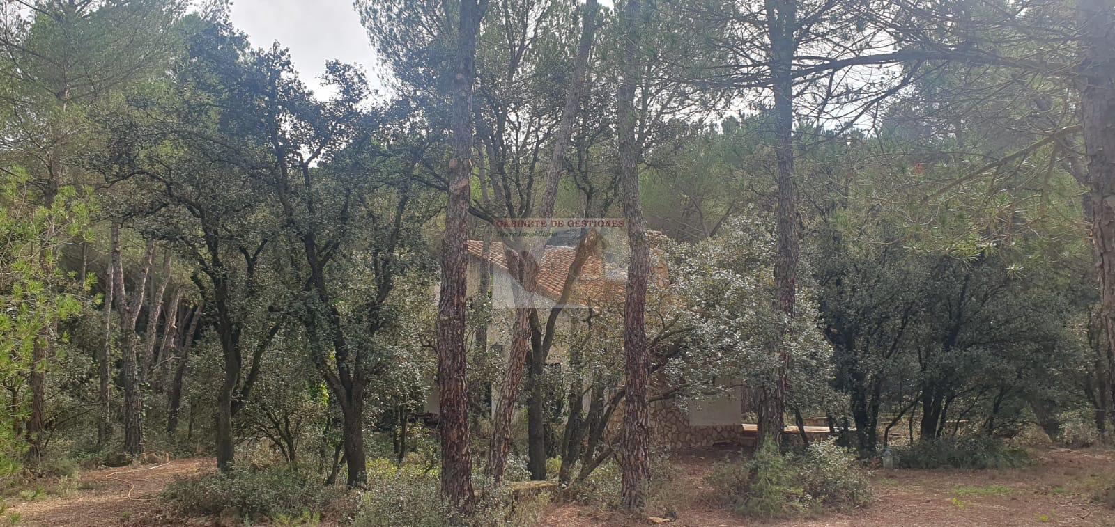 For sale of chalet in Albacete