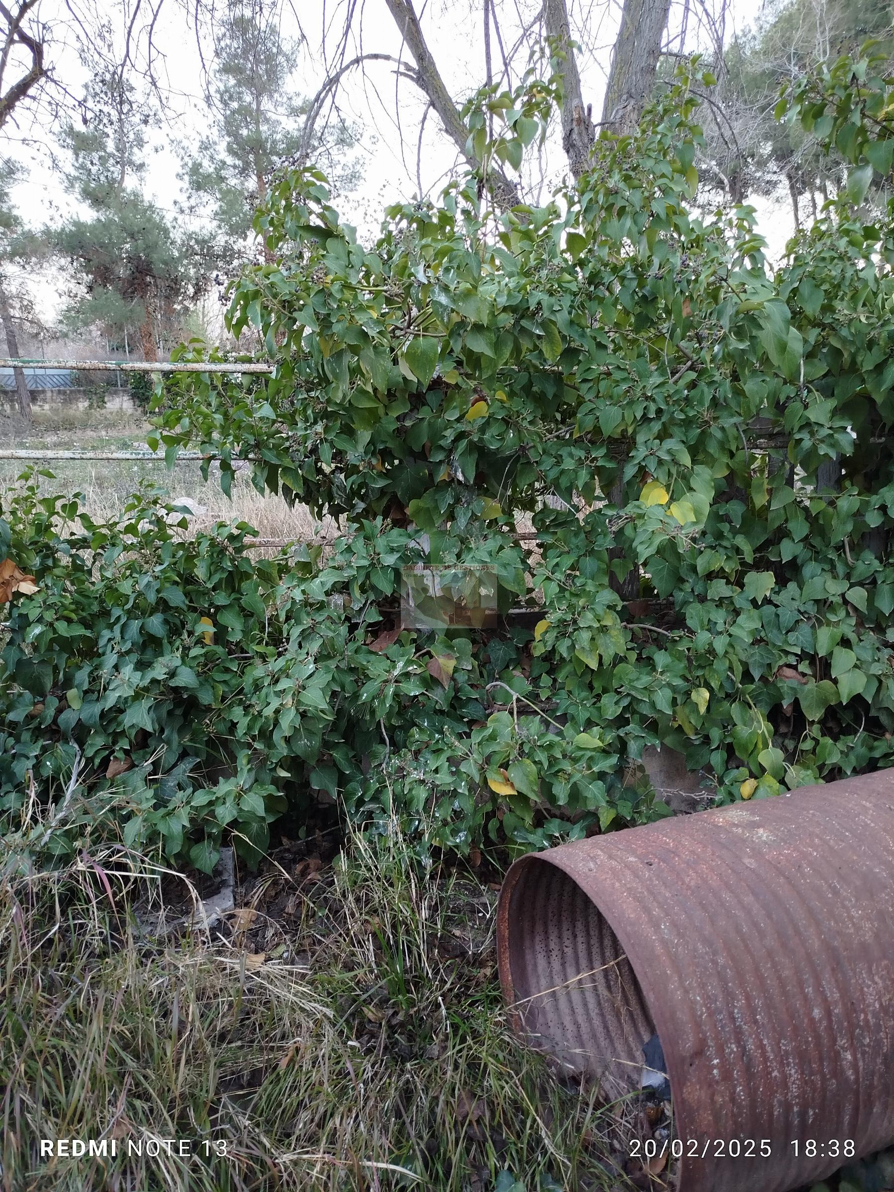 For sale of land in Albacete