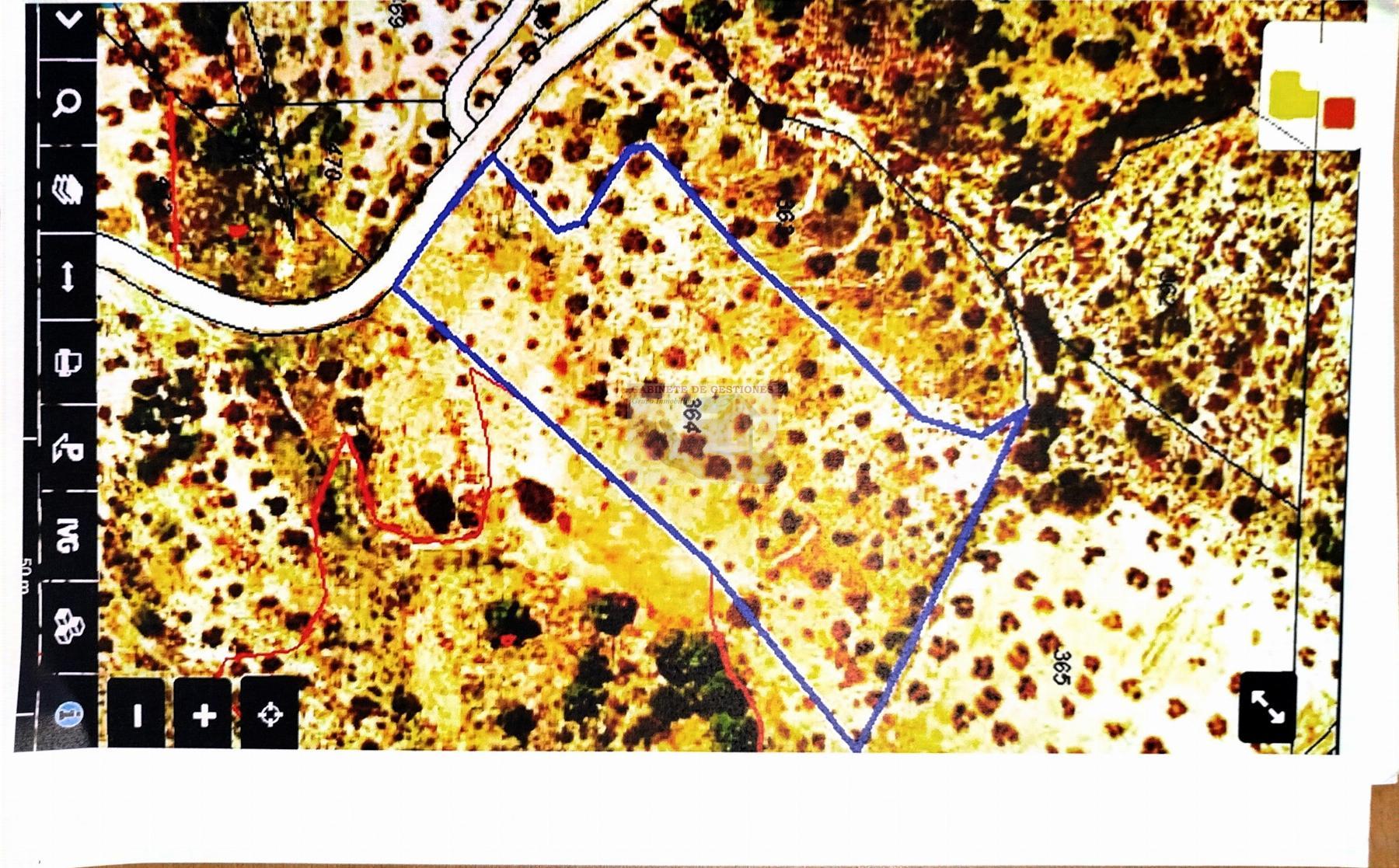 For sale of land in Albacete