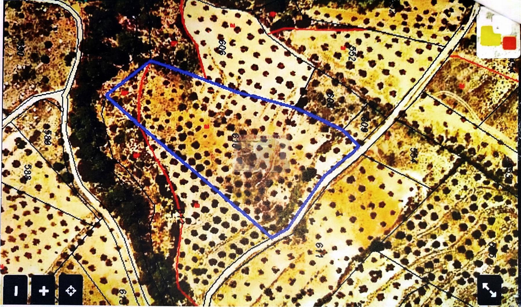 For sale of land in Albacete