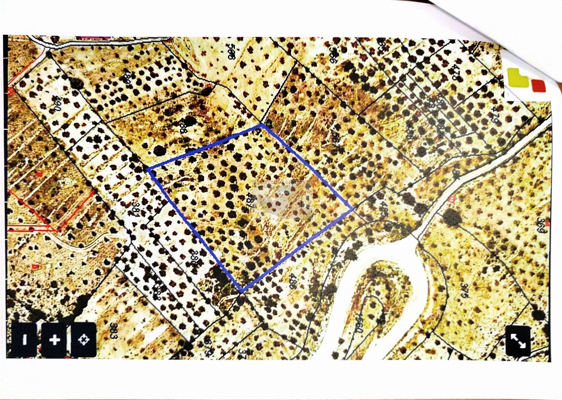 For sale of land in Albacete