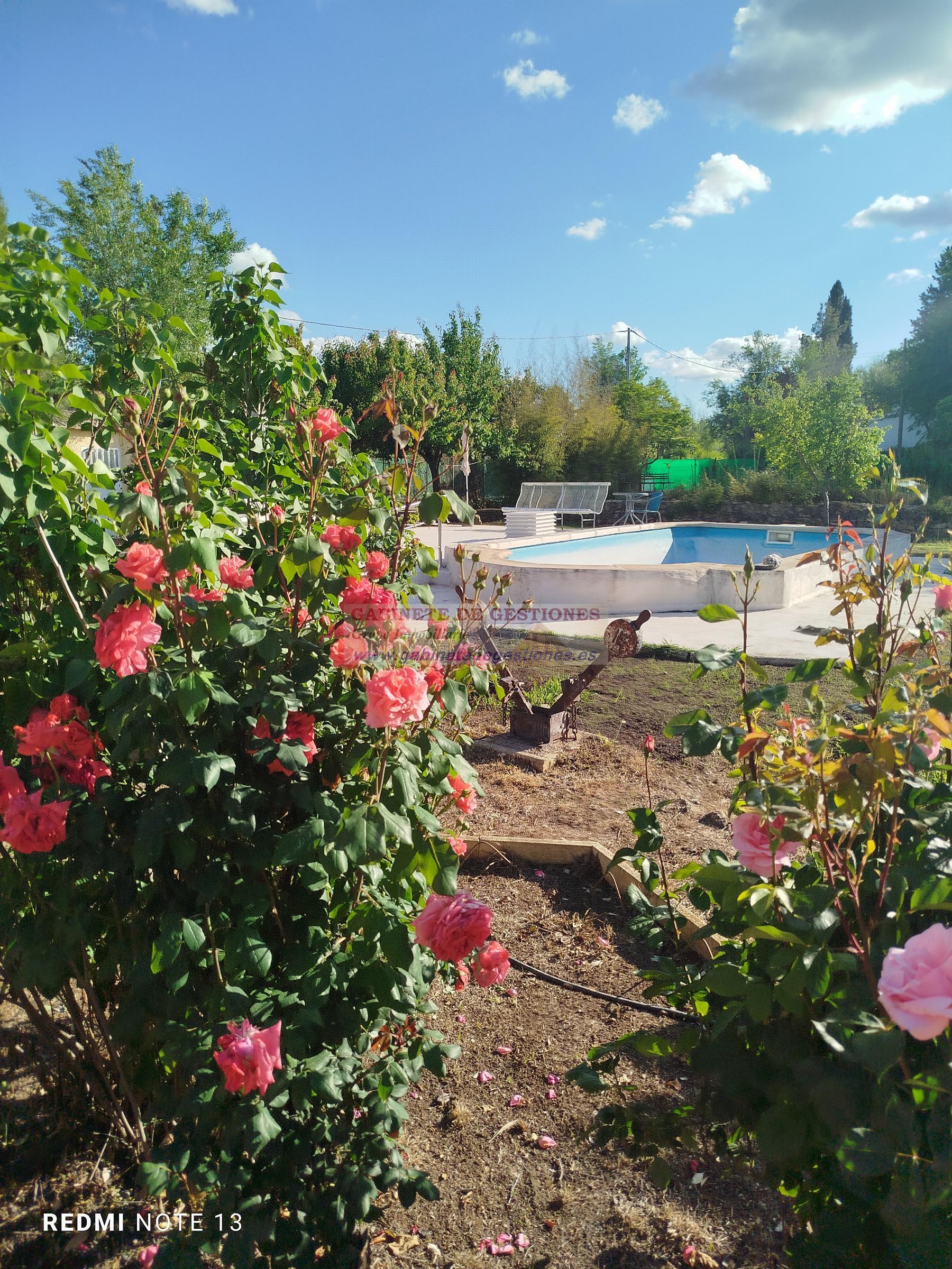 Venta de chalet en Albacete