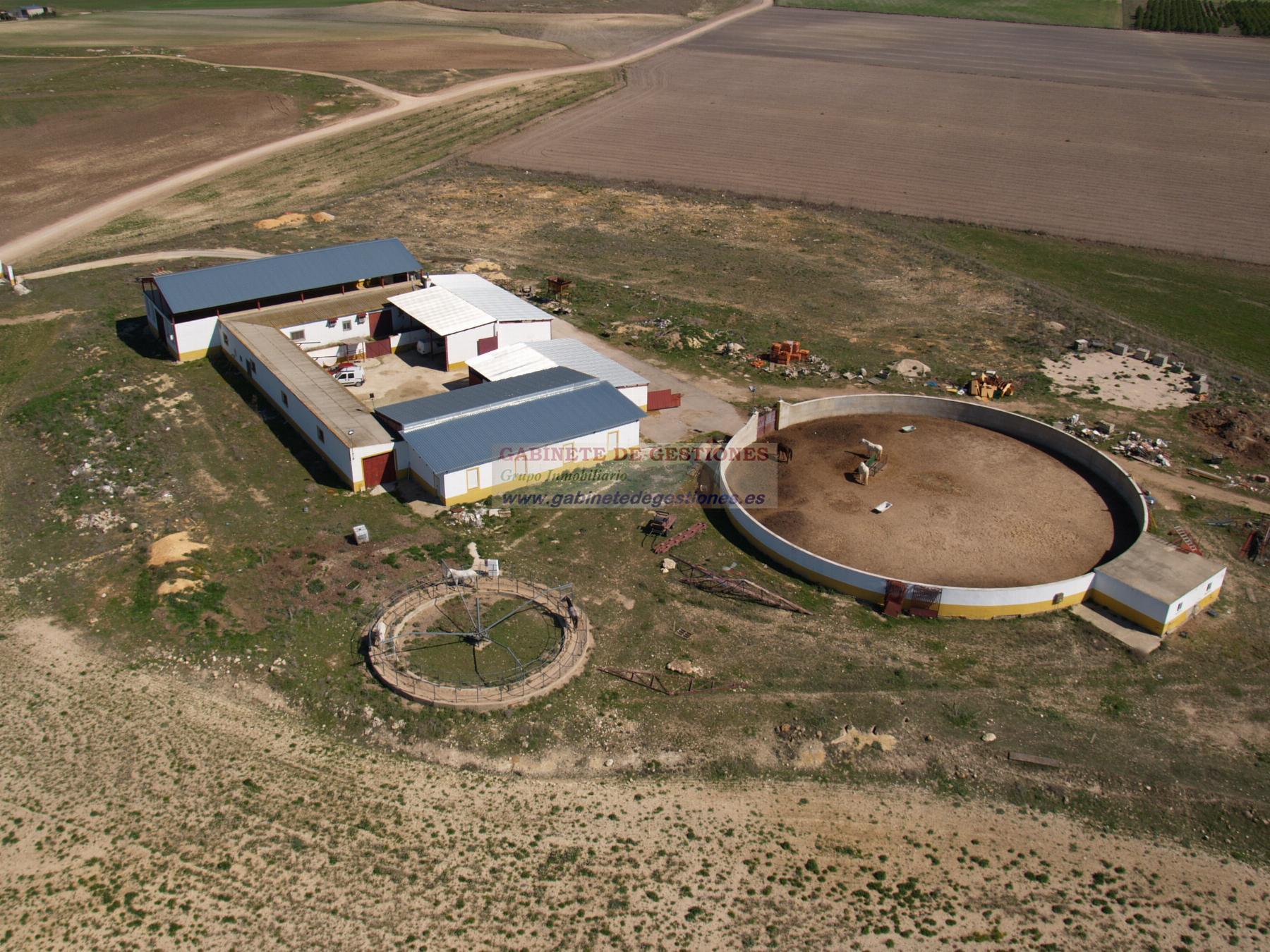 Venta de finca rústica en Albacete
