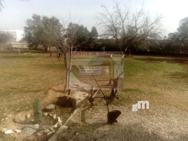 For sale of chalet in Barrax
