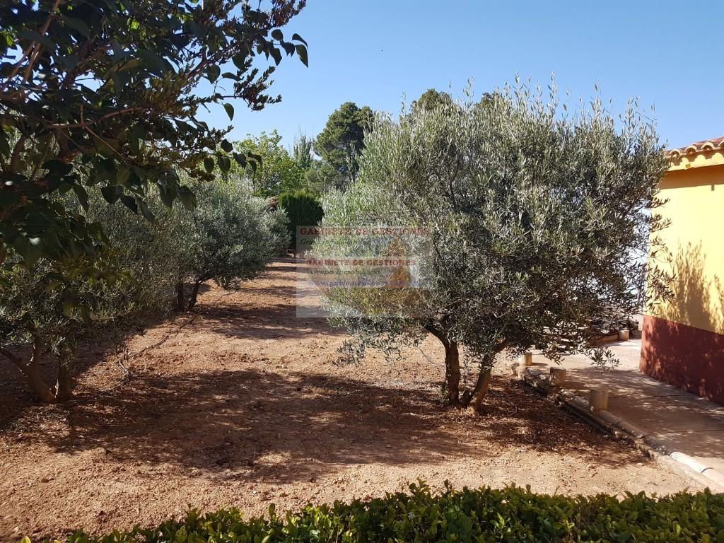 Venta de chalet en Albacete