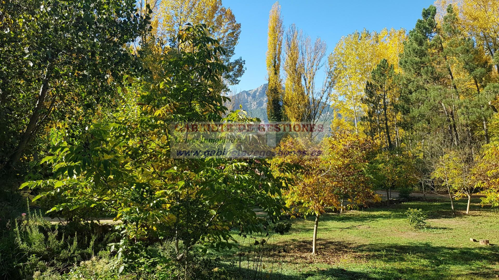 Venta de finca de recreo en Yeste