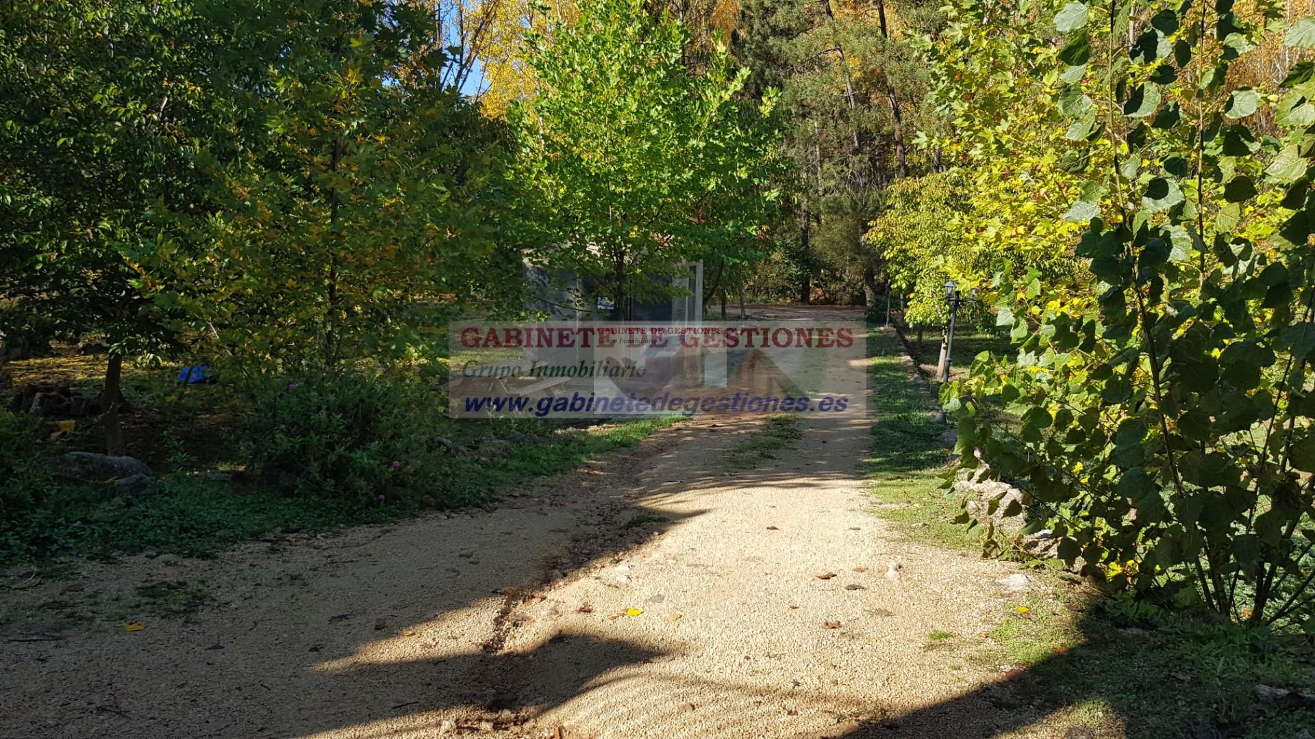 Venta de finca de recreo en Yeste Venta de finca de recreo en Yeste