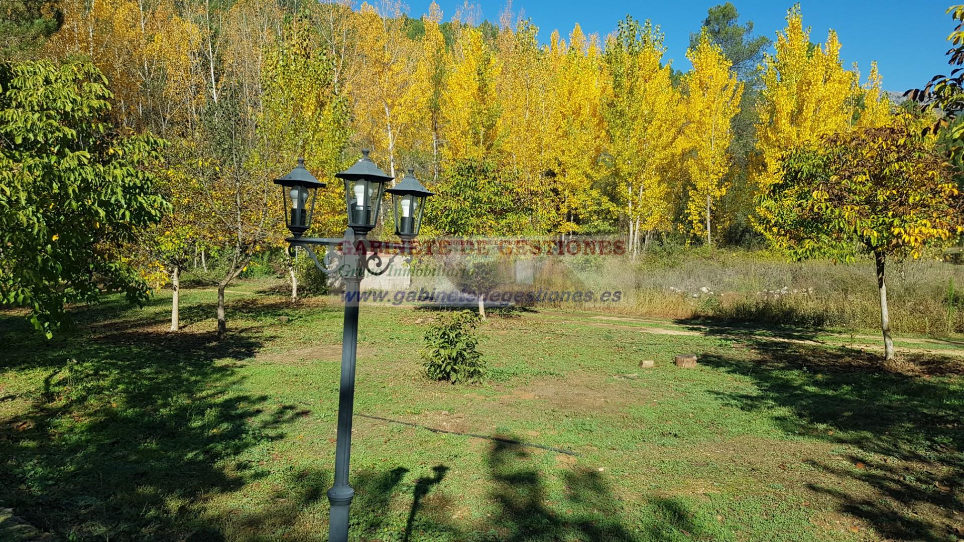 Venta de finca de recreo en Yeste Venta de finca de recreo en Yeste