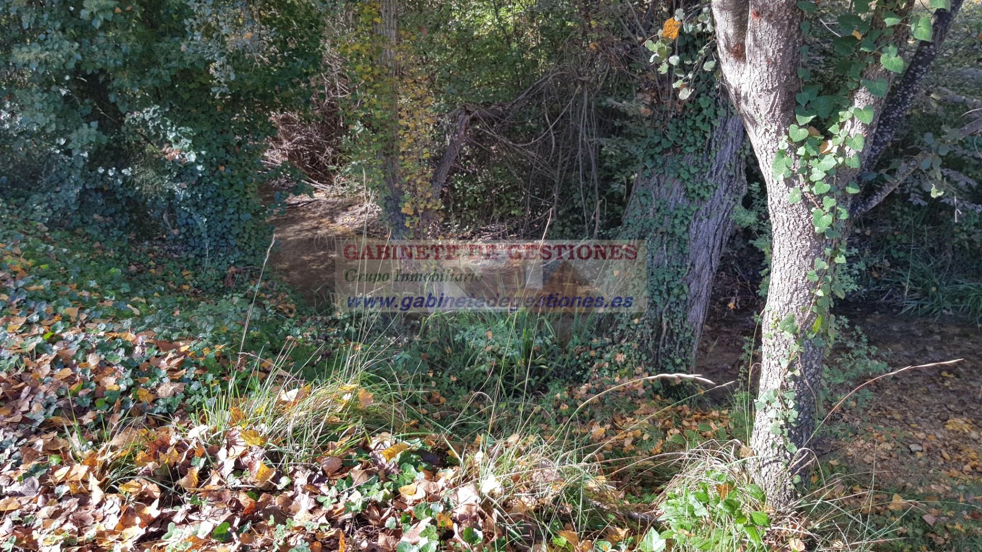 Venta de finca de recreo en Yeste