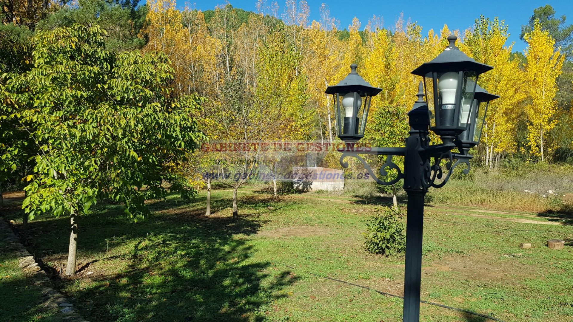 Venta de finca de recreo en Yeste