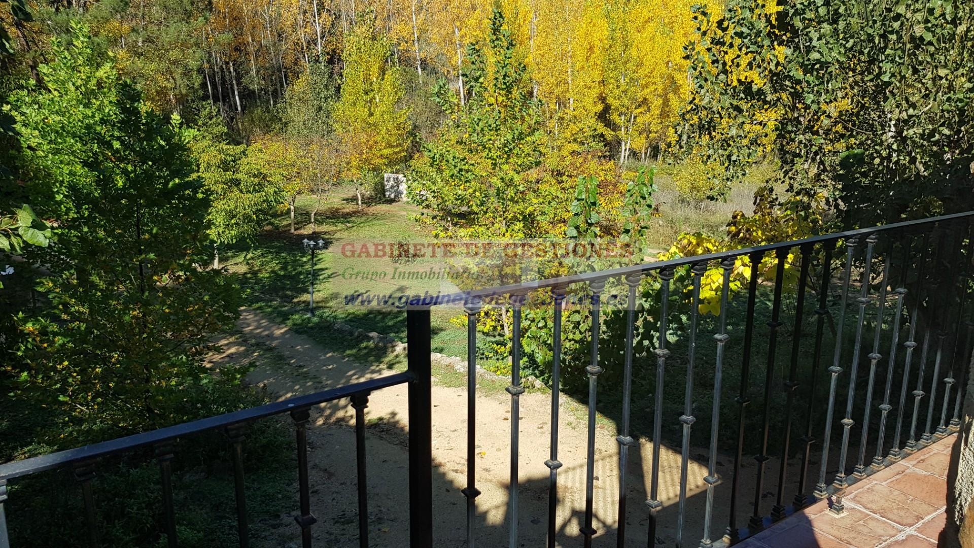 Venta de finca de recreo en Yeste Venta de finca de recreo en Yeste