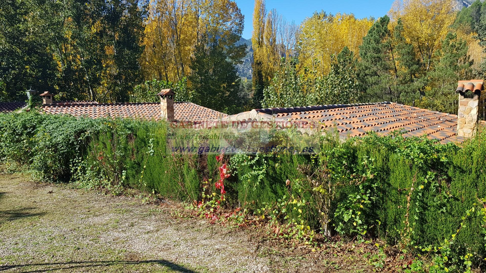 Venta de finca de recreo en Yeste