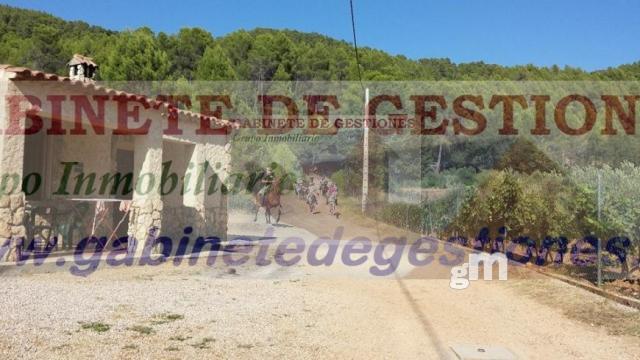 Venta de finca de recreo en Yeste Venta de finca de recreo en Yeste