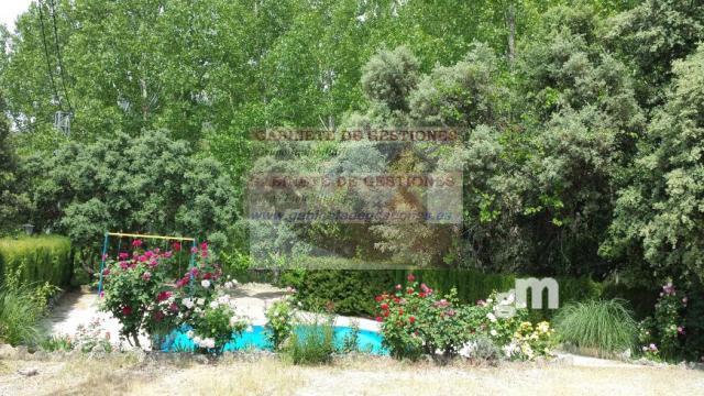 Venta de finca de recreo en Yeste Venta de finca de recreo en Yeste